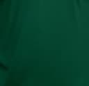 Plain Forest Green Semi-Spread Dress Collar Polo
